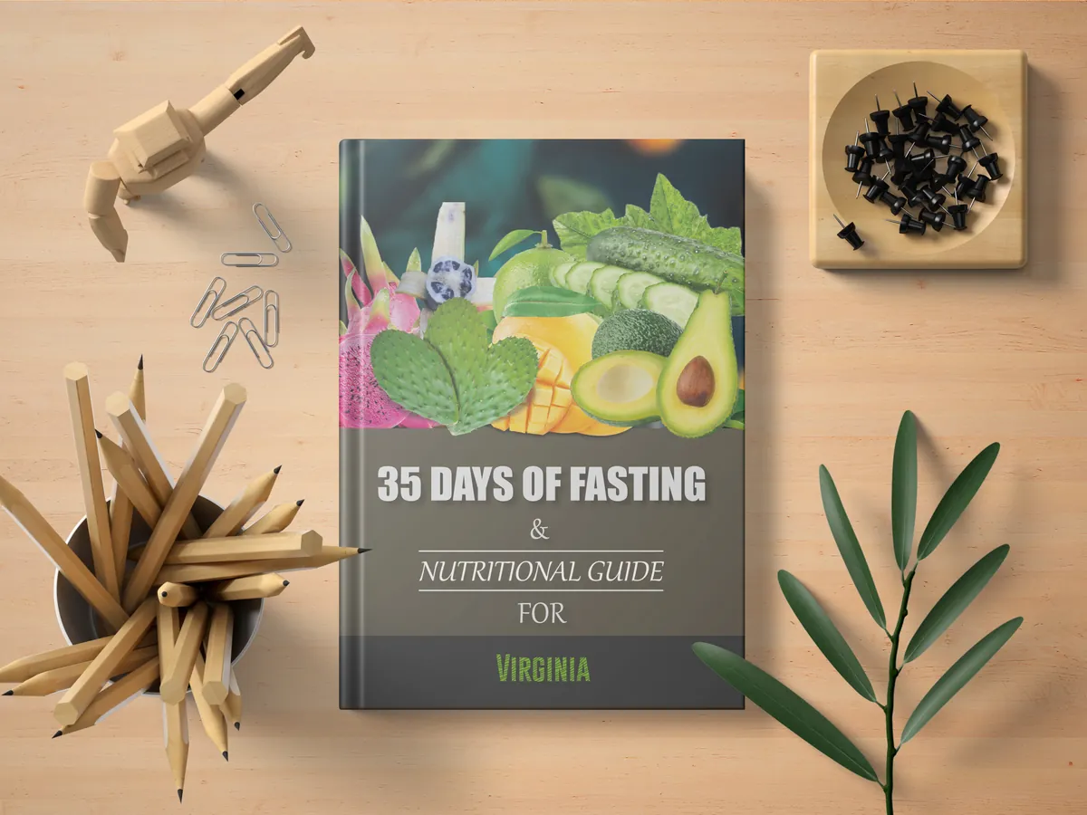 Catalog, Workbook & Book Cover Design Portfolio – sample 11