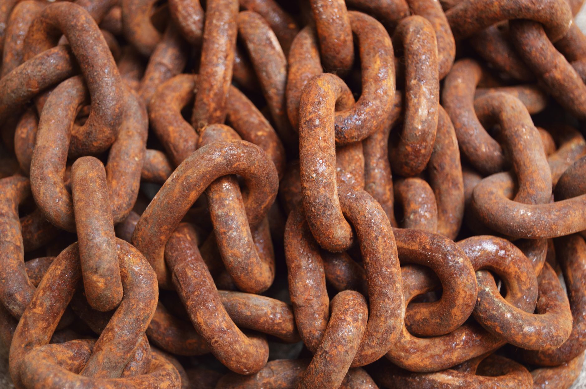 Effective Link Building Strategies That Still Work