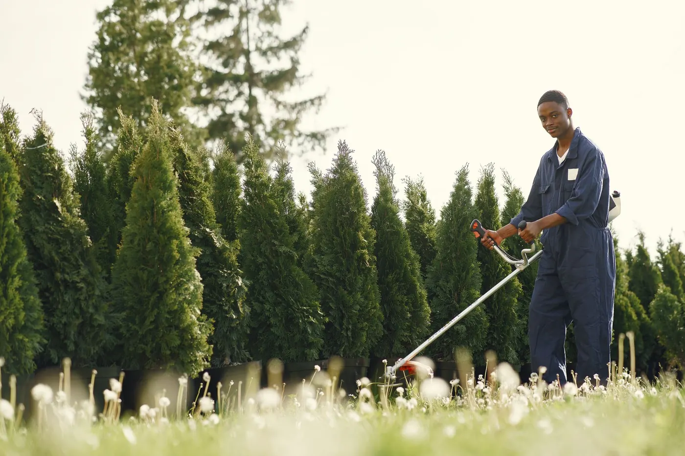 Local SEO for Landscapers: A Complete Guide