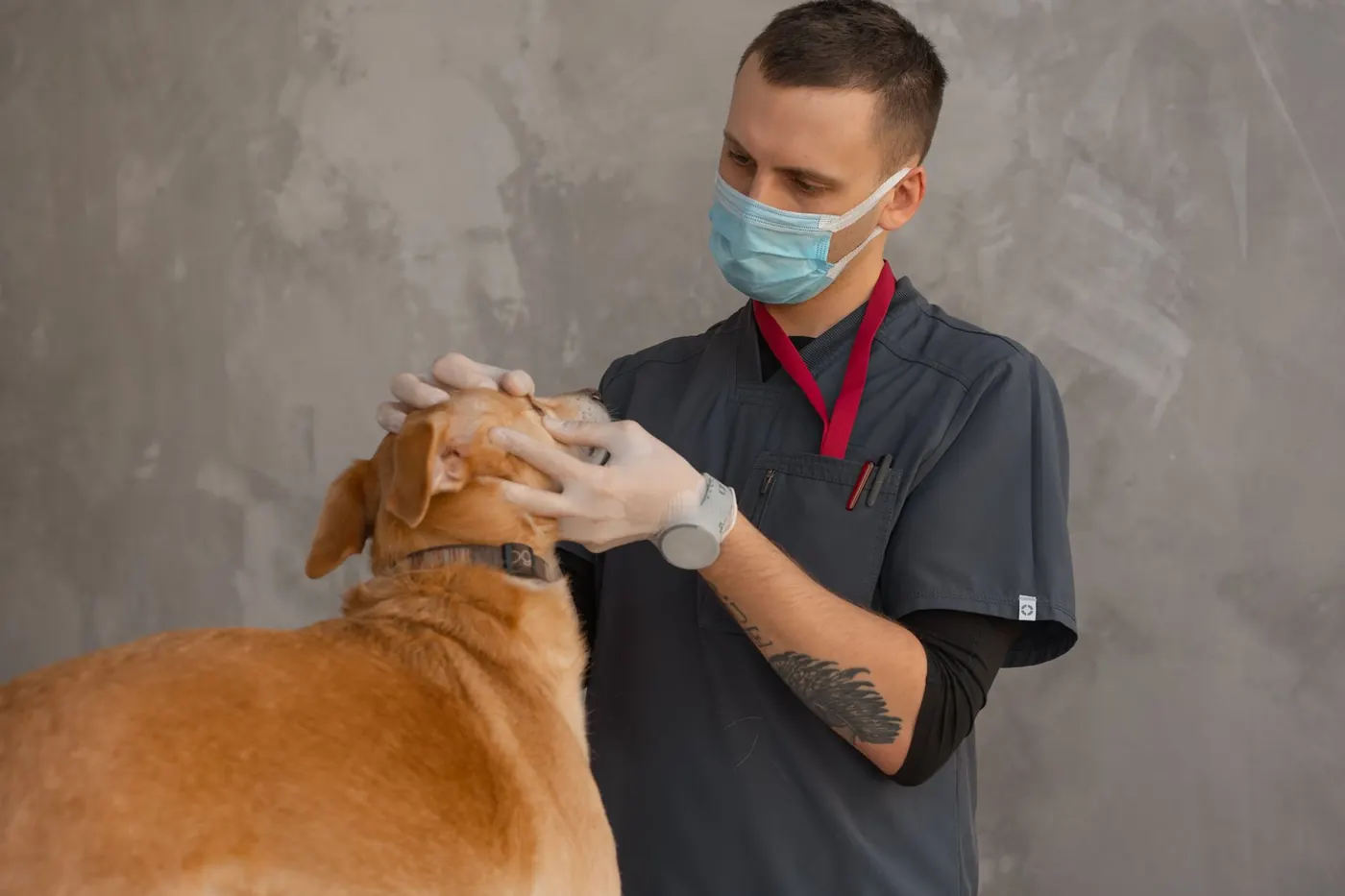 Local SEO for Veterinary Clinics: The Complete Guide